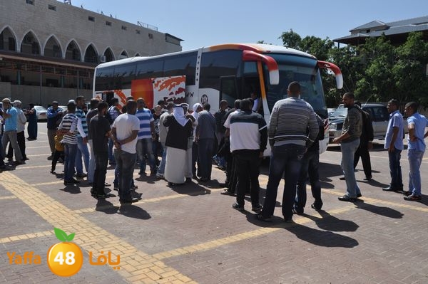 3omrashneer321 (16).JPG